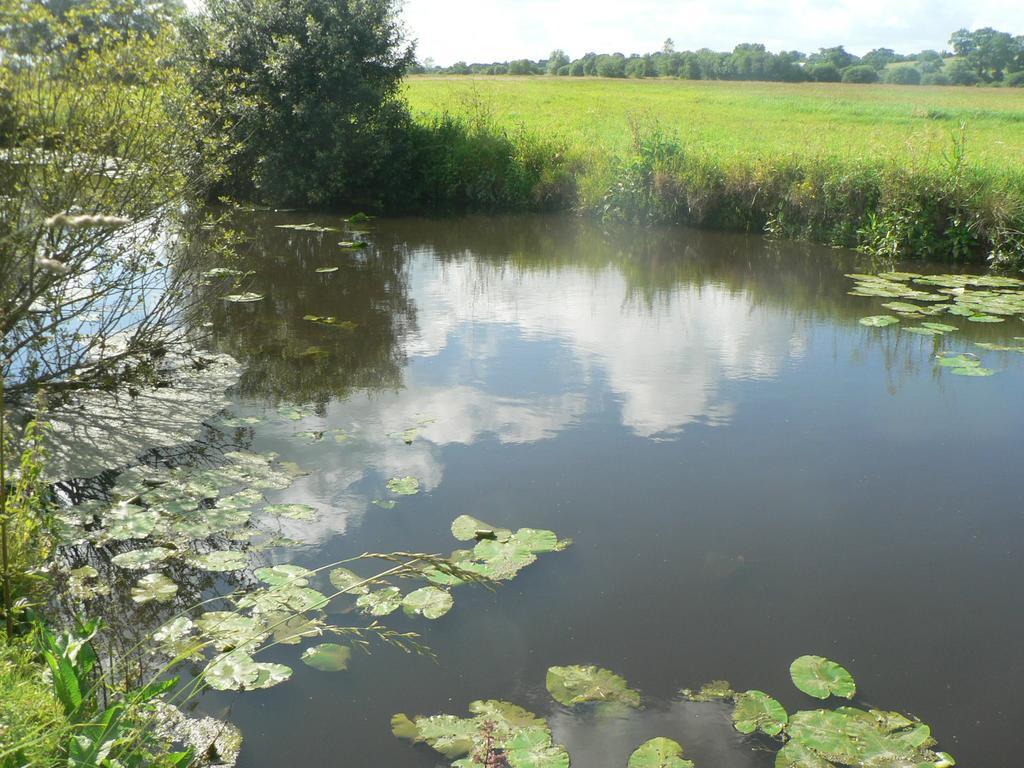 Gite de l'Aure Trevieres Extérieur photo