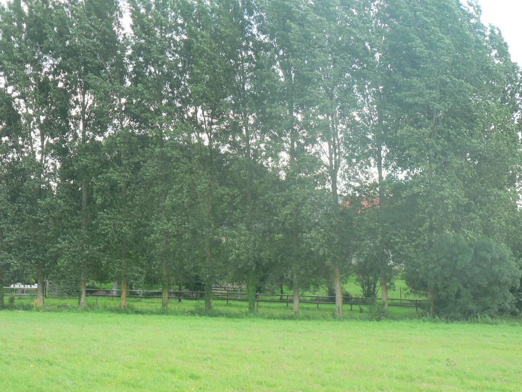 Gite de l'Aure Trevieres Extérieur photo