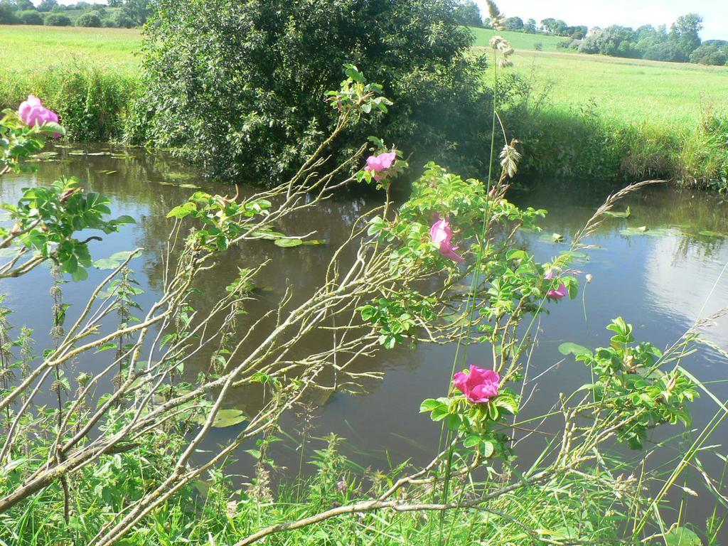 Gite de l'Aure Trevieres Extérieur photo